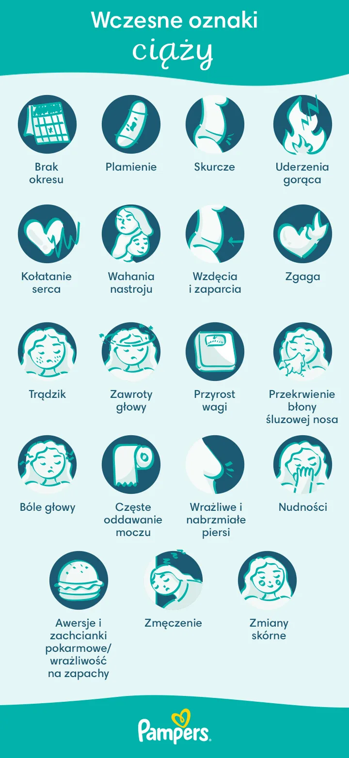 pampers swaddlers size chart