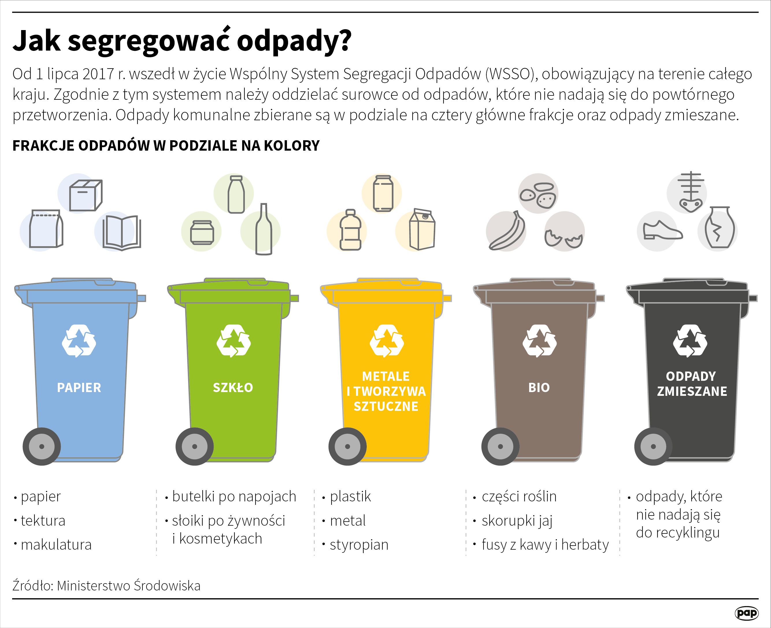 pieluchomajtki dla dorosłych allegro