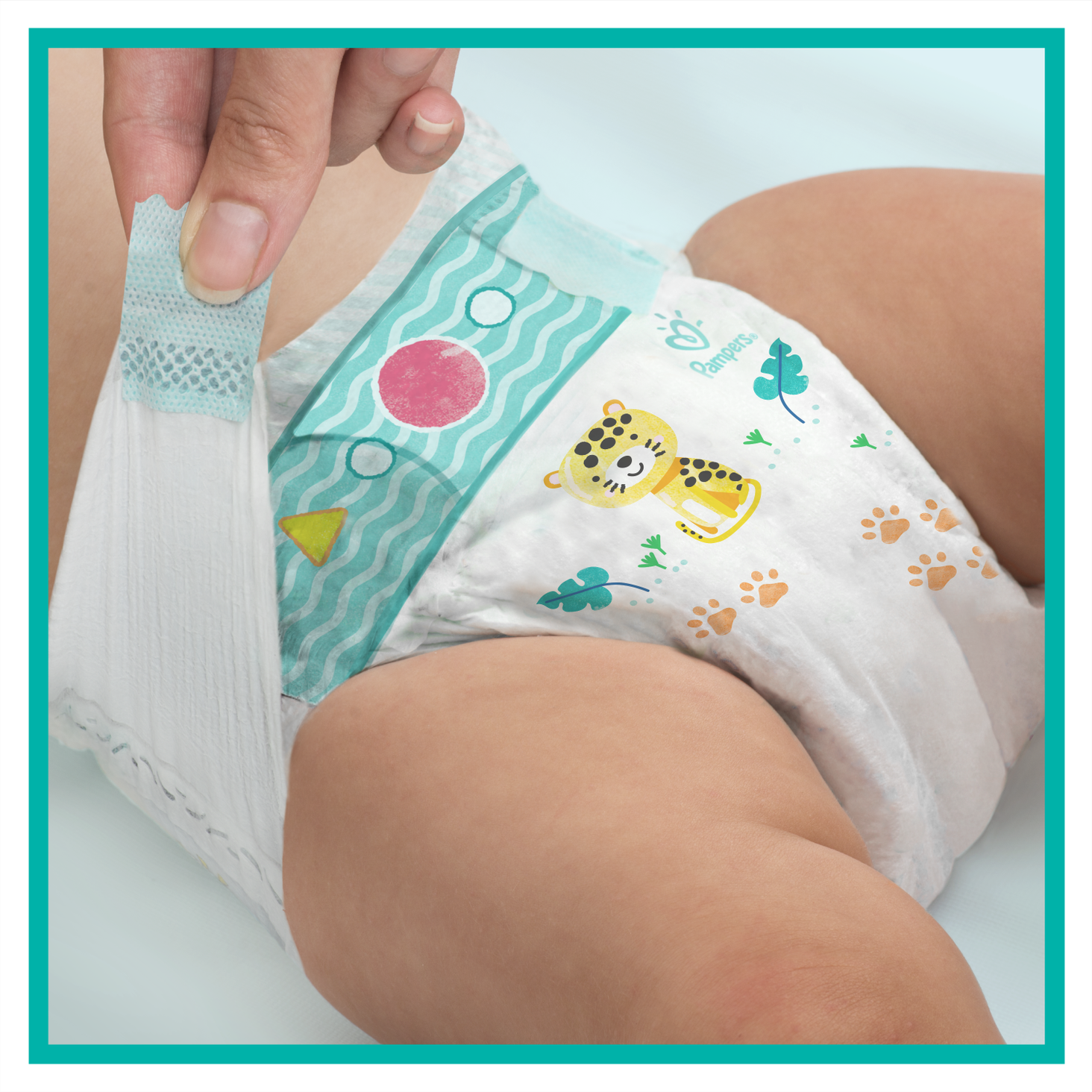 pampers premium cre zielone i biale