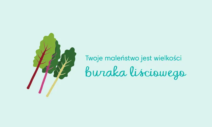 kosz na pieluchy bakusiowo