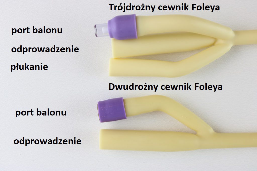 Termosy i torby termiczne