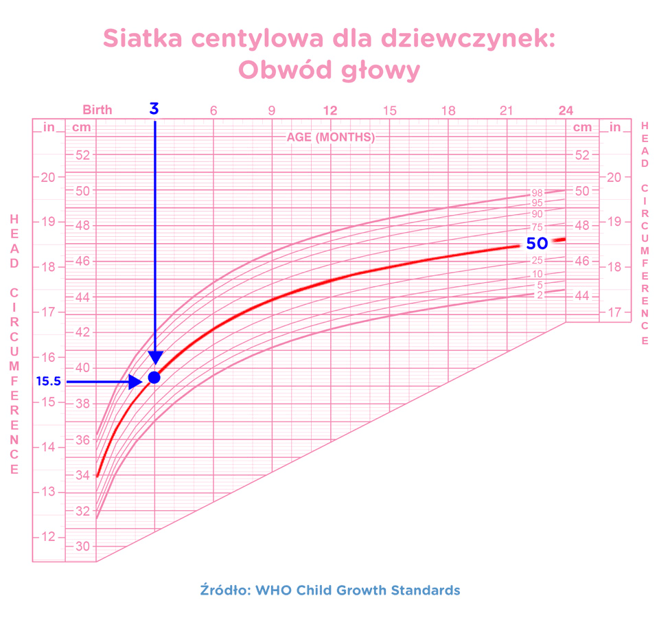 pieluchomajtki dla mężczyzn cena