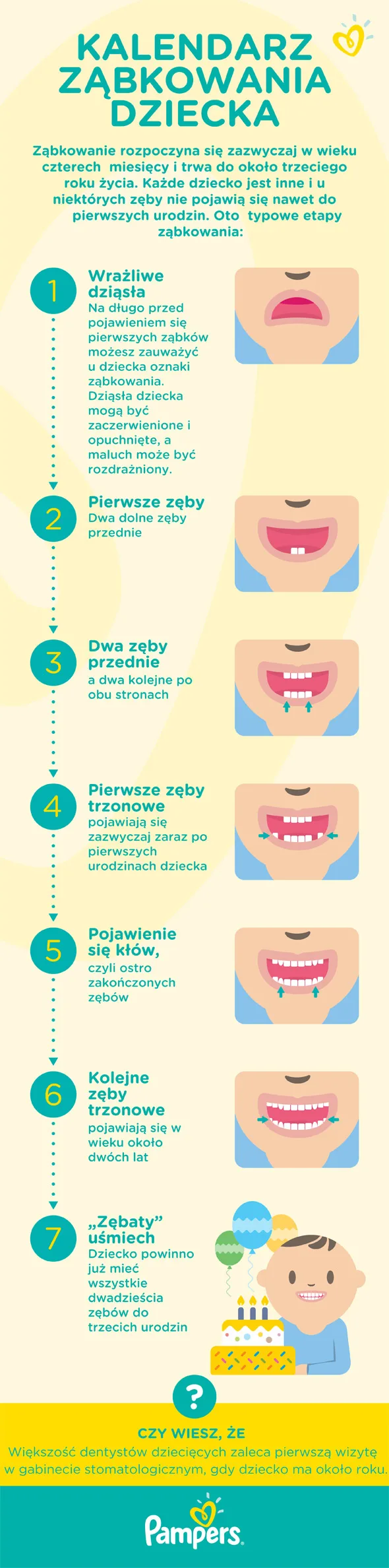 chusteczki nawilżane bez chemii jipp