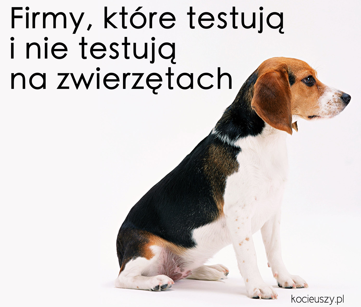 pieluchy pampers z wycięciem na pępek