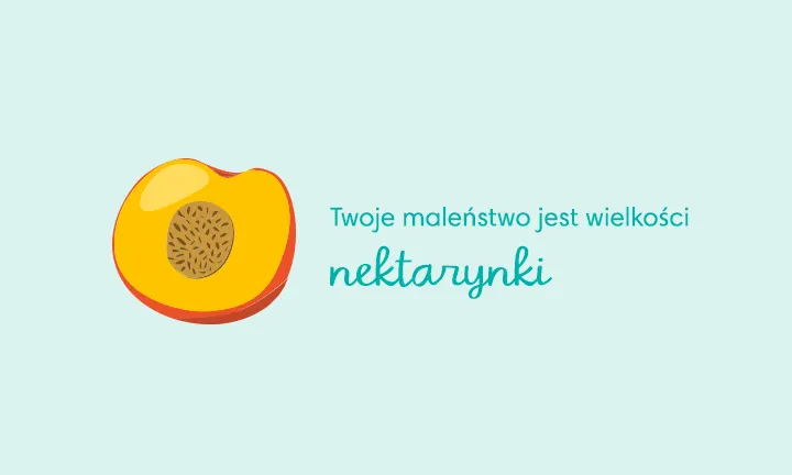 Wielofunkcyjna mata podłogowa z puzzli Chippy