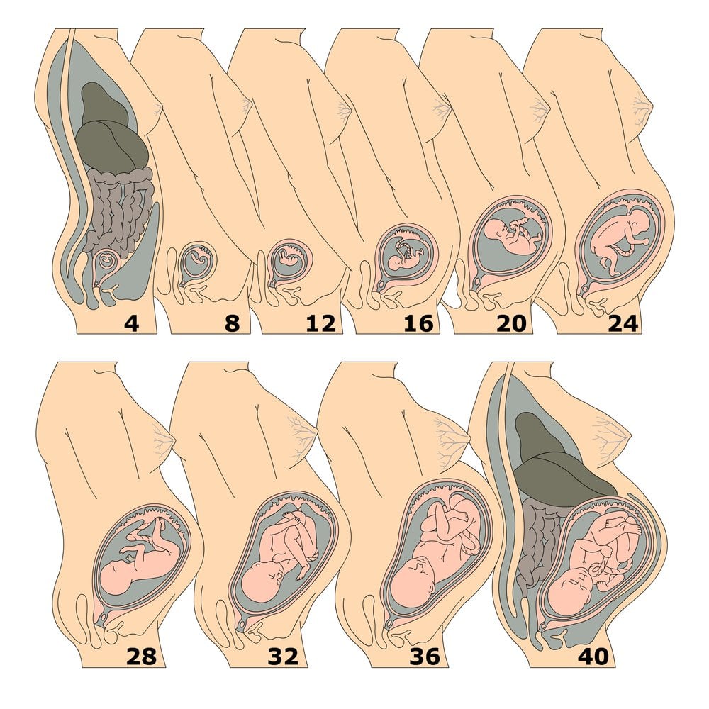 babydream pieluszki jednorazowe newborn