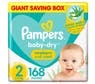 lil pampers