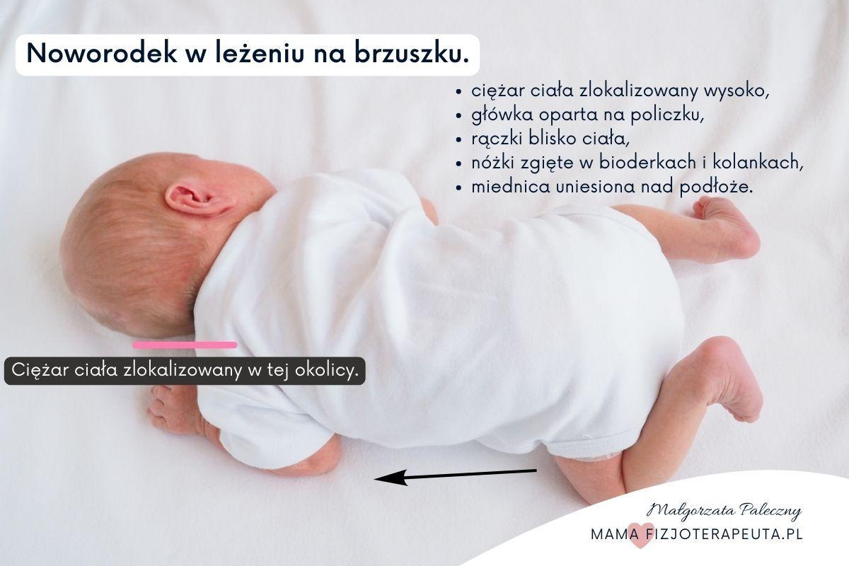 Maria Naturalny kompleks ziołowy