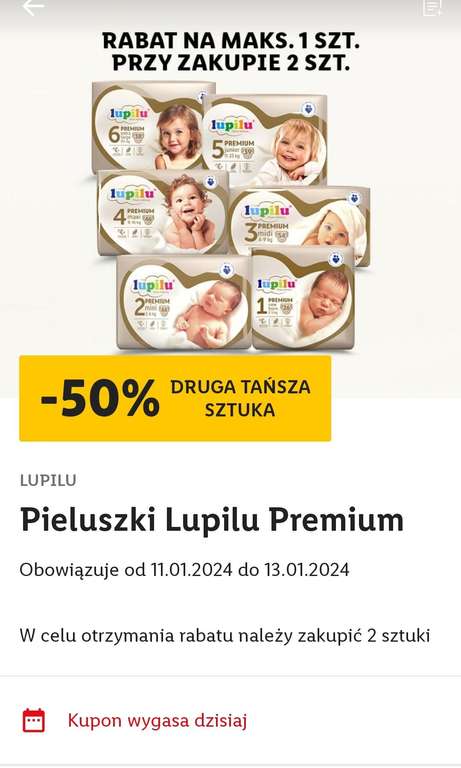 olx pampersy dla dorosłych