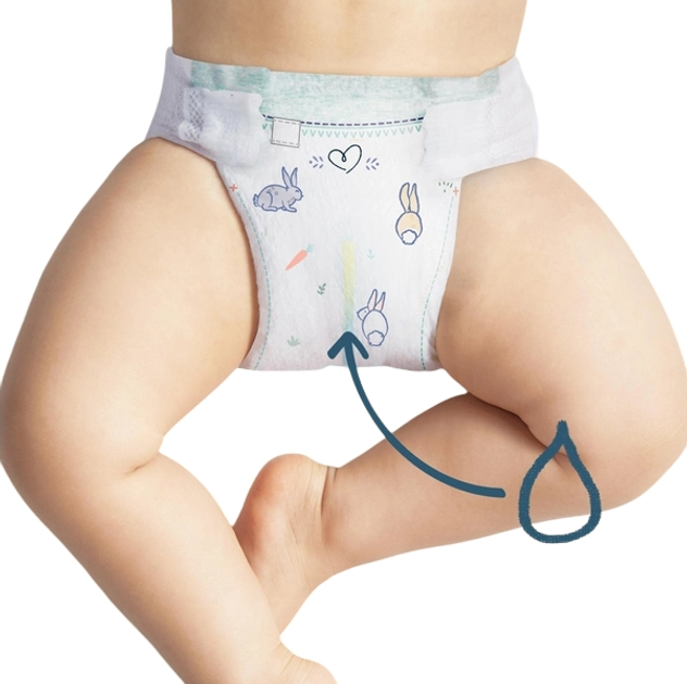 pampers baby dry 3 116sztuk