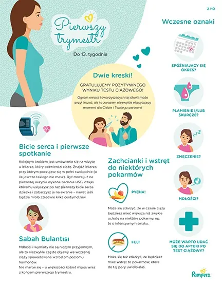 pampers soft ceneo